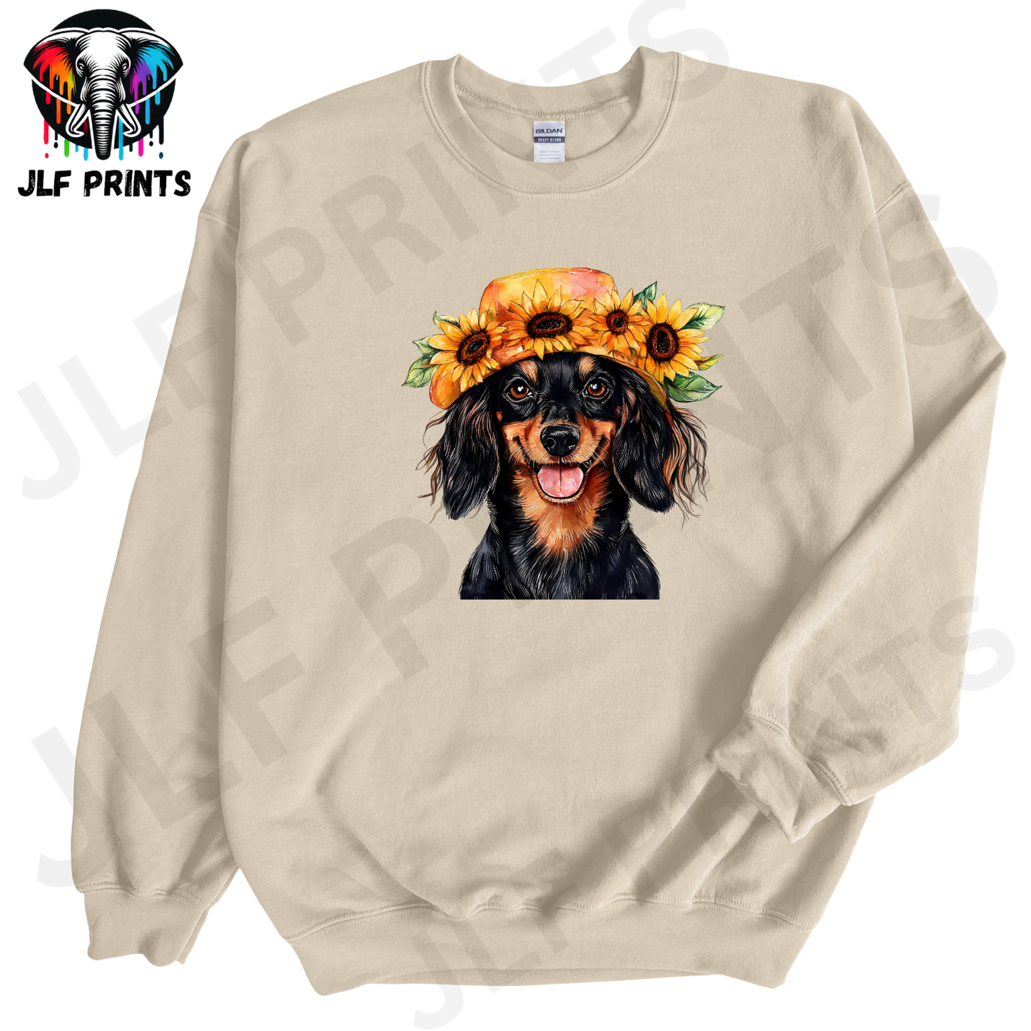 Dog 15