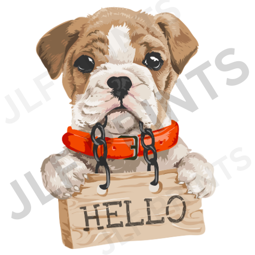 Hello