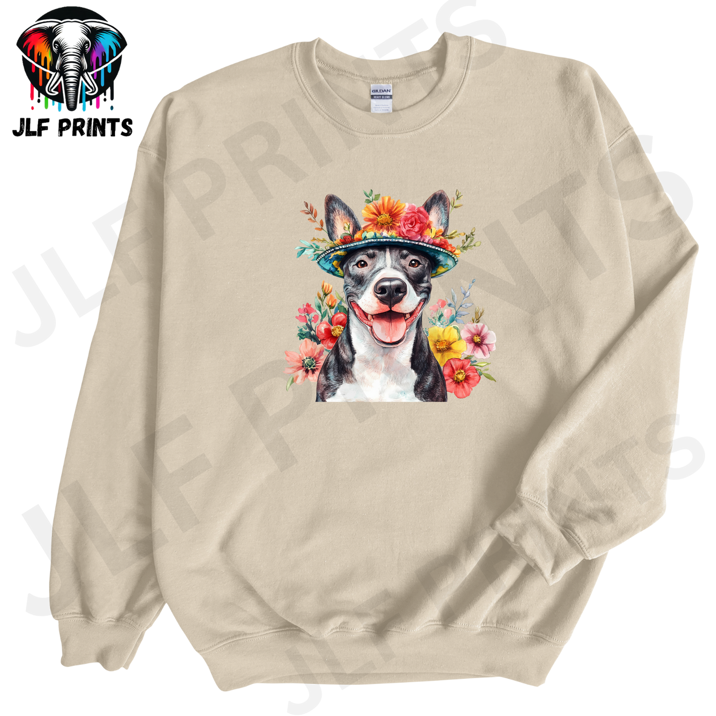 Dog 11