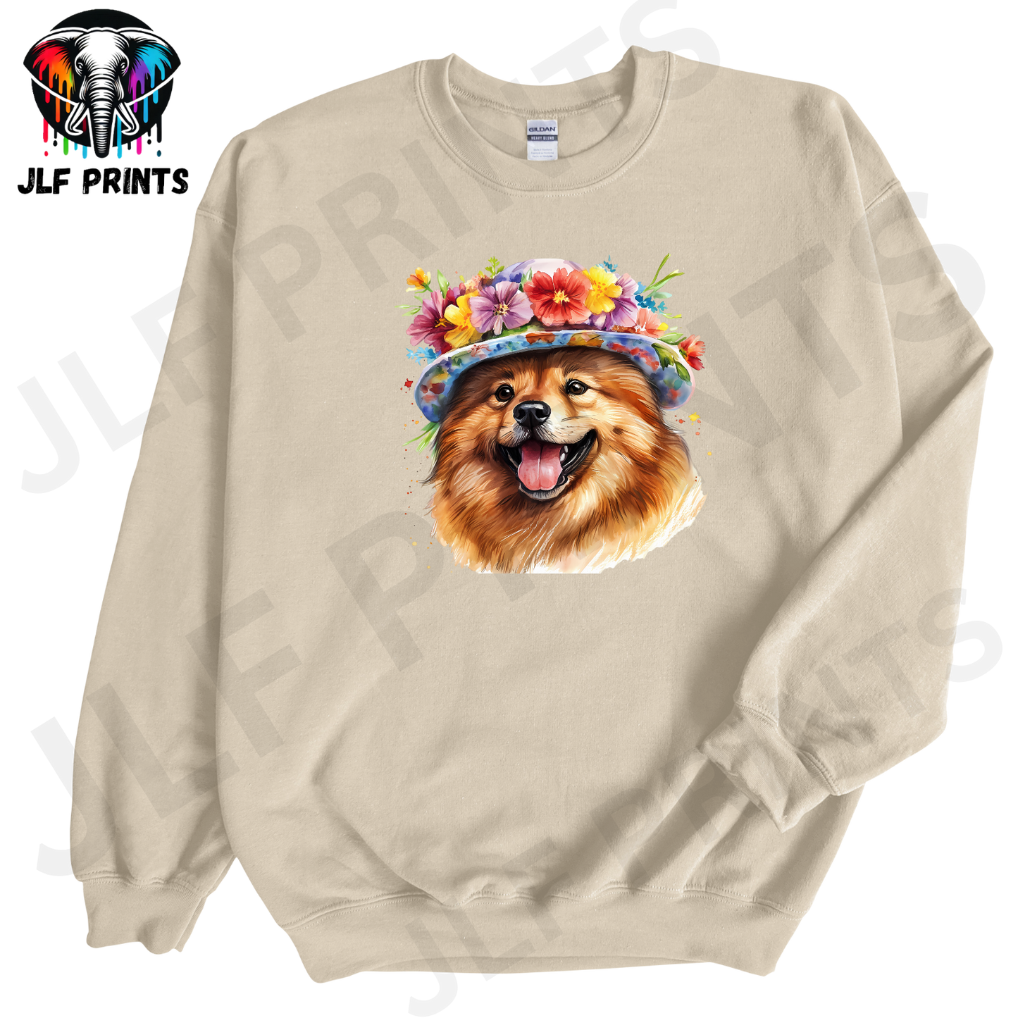 Dog 12