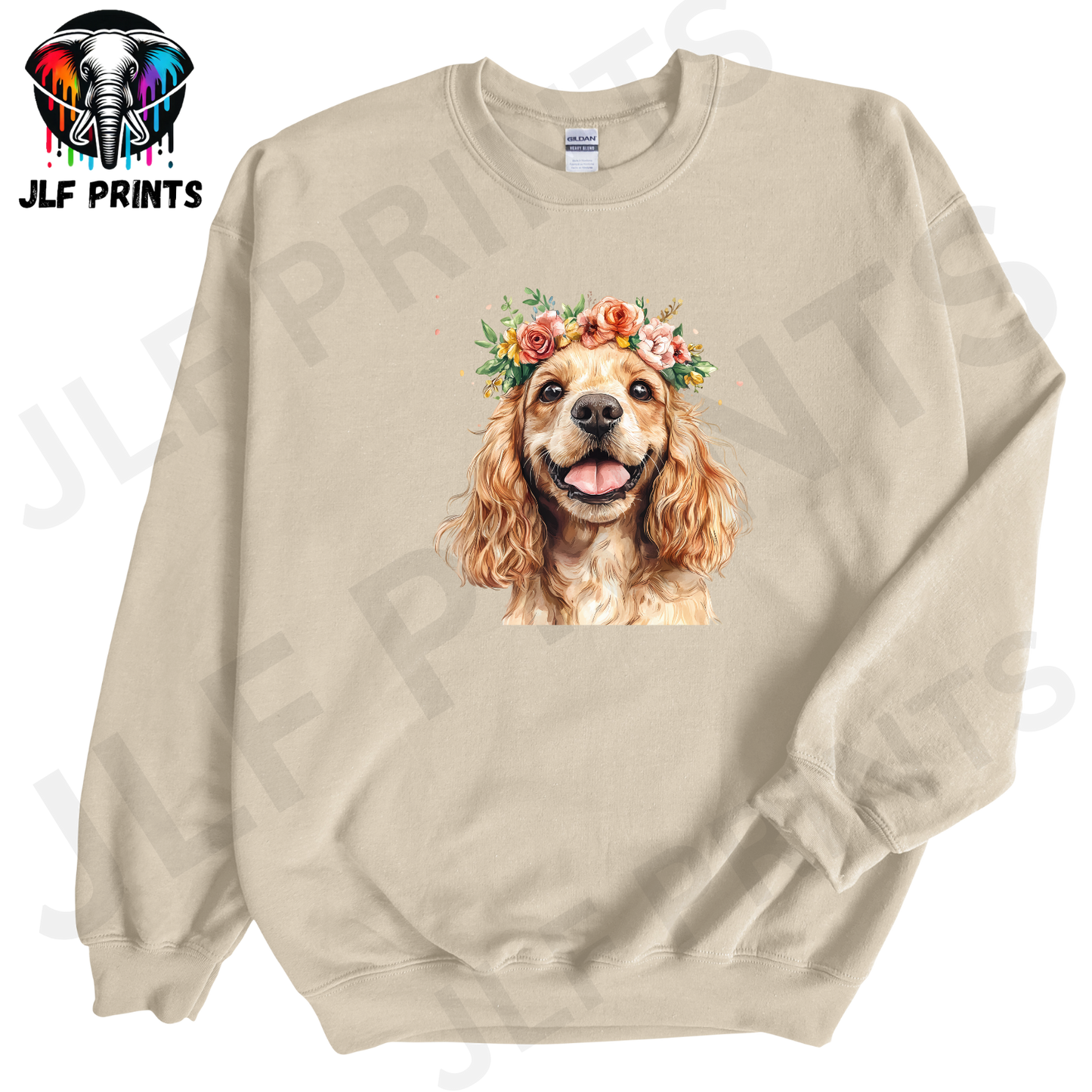 Dog 13