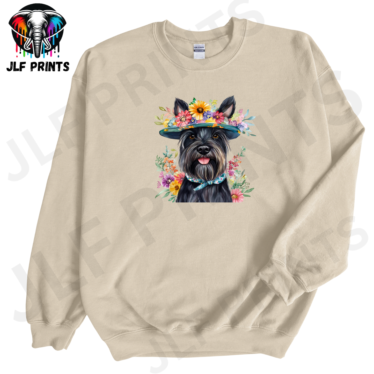 Dog 24