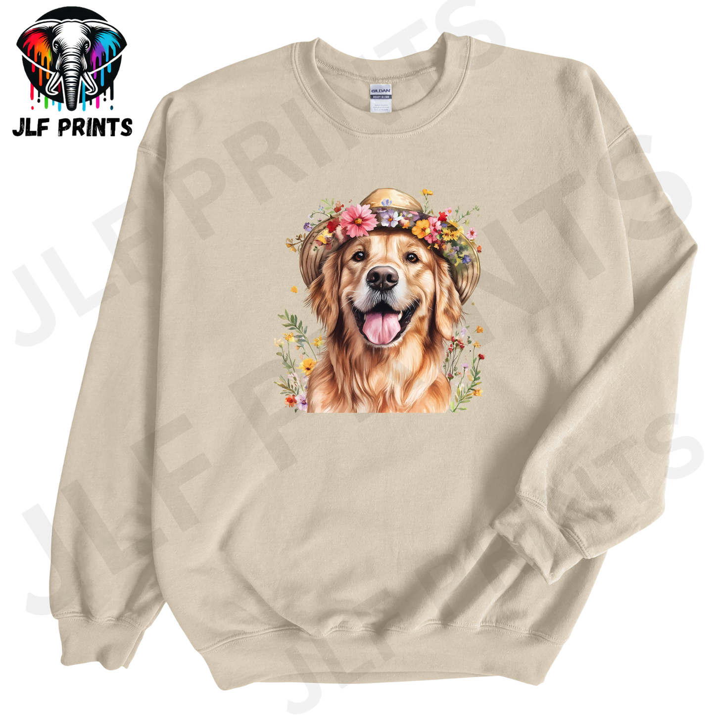 Dog 3