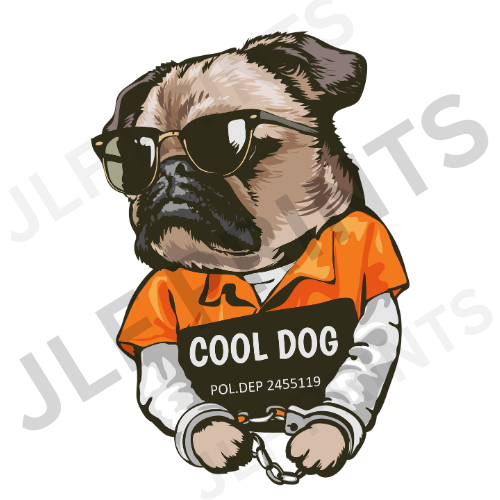 Cool Dog