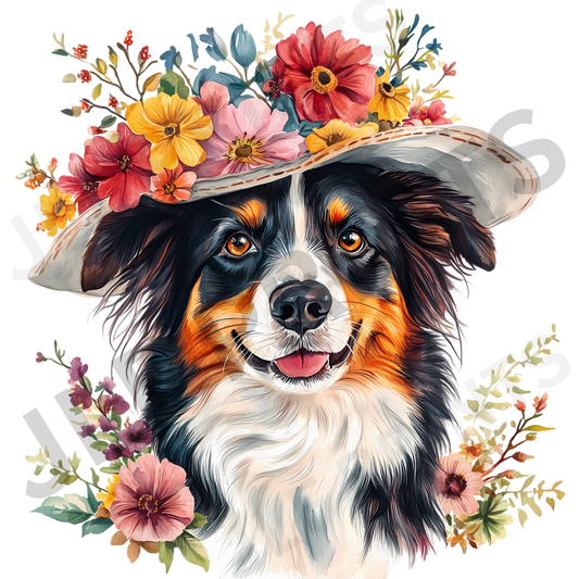 Dog 1