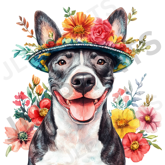 Dog 11