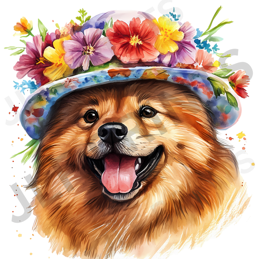 Dog 12