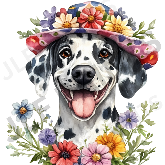 Dog 16