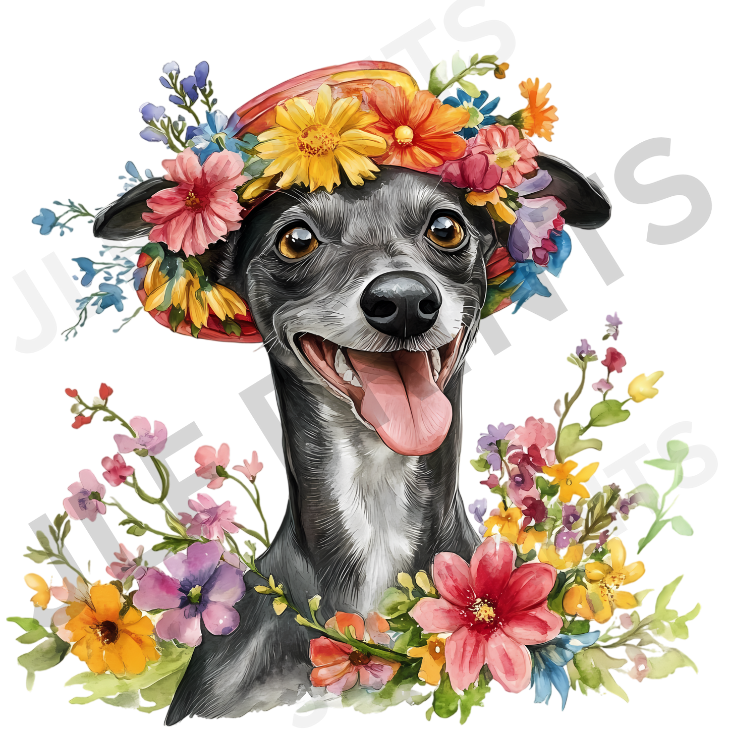 Dog 17