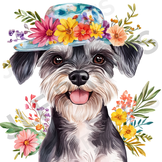 Dog 20