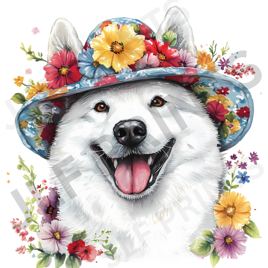Dog 21