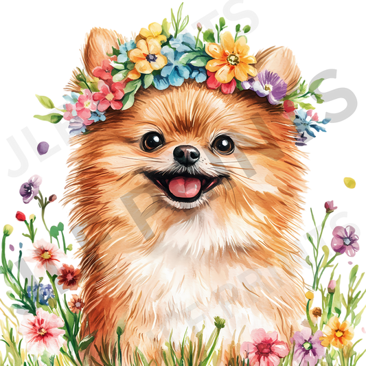 Dog 22