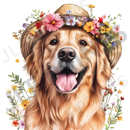 Dog 3
