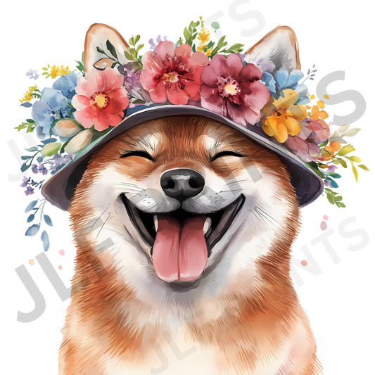 Dog 6