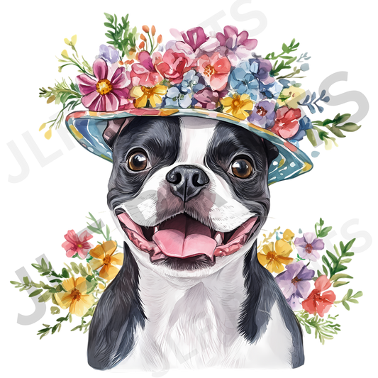 Dog 8