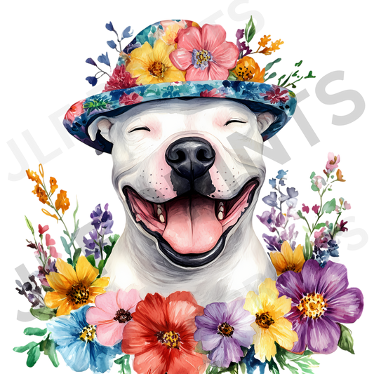 Dog 9